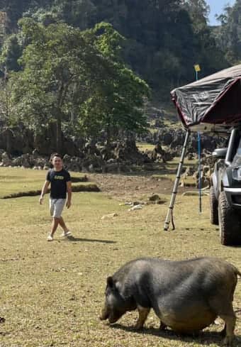 Traveller at a rooftop-tent camp meeting a local pig while wild camping in Vietnam